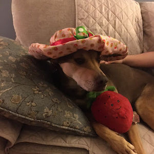 Meet your Posher, Irene